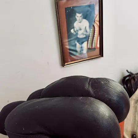 Domus Merian Xii 아파트