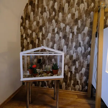 Domus Merian Xii Apartman Trier